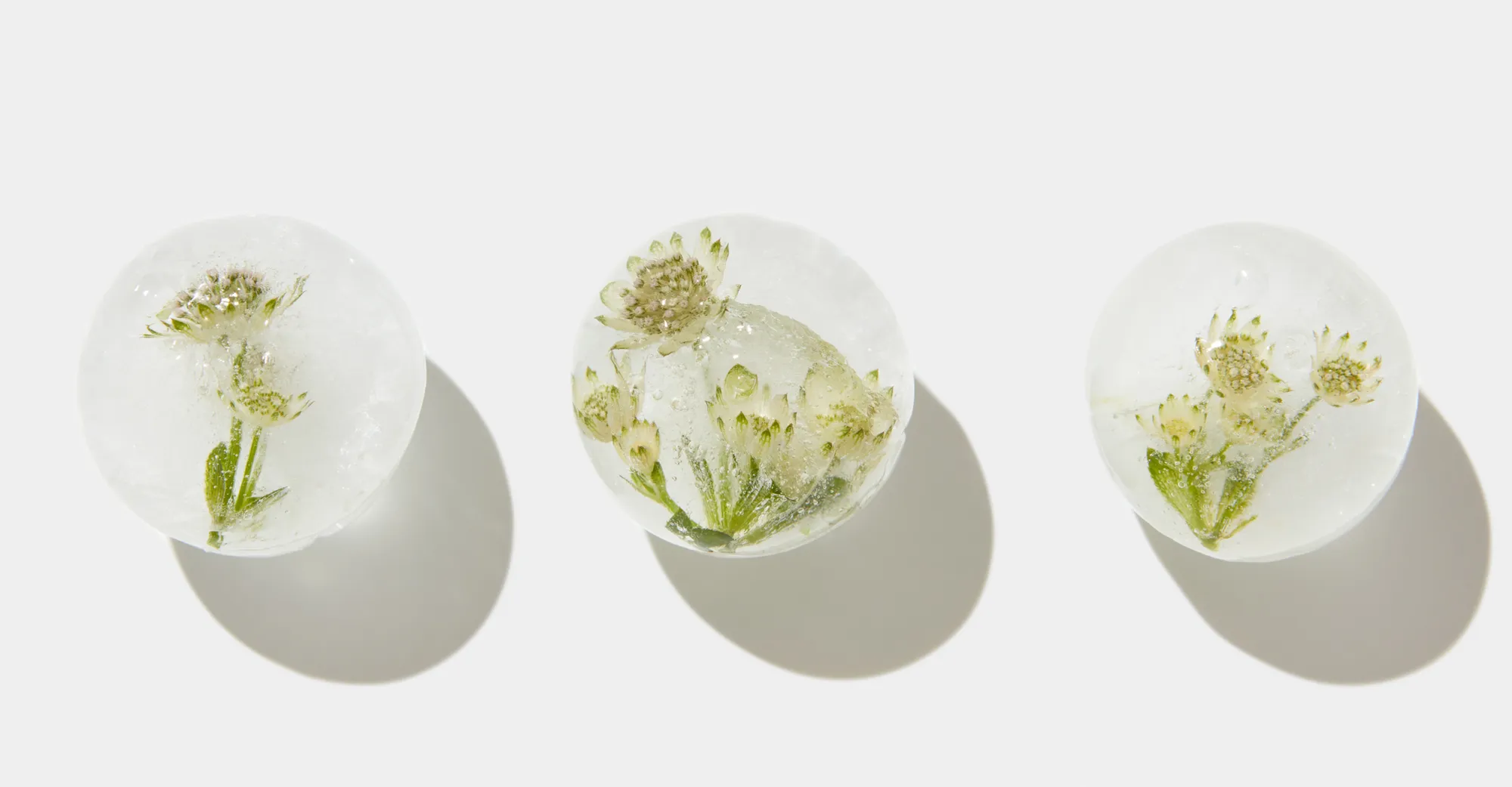 Egg Freezing Now: What Patients in Orange County Should Know About Costs, Success Rates, and Today’s Data